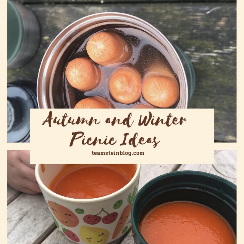 a picture of autumn picnic ideas