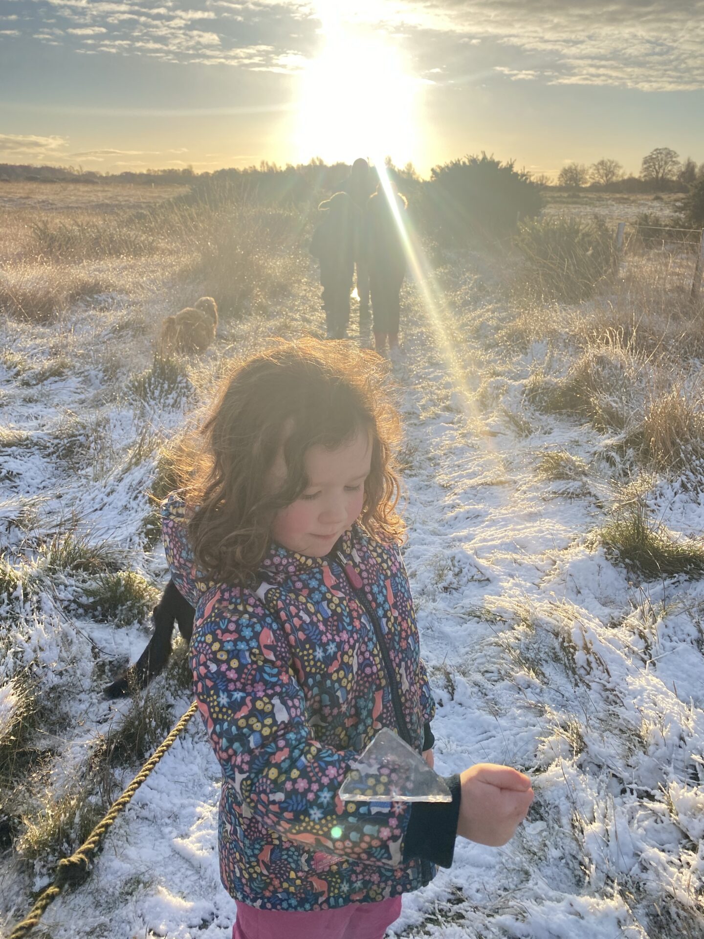 A wintry November day with a young girl holding ice on his arm