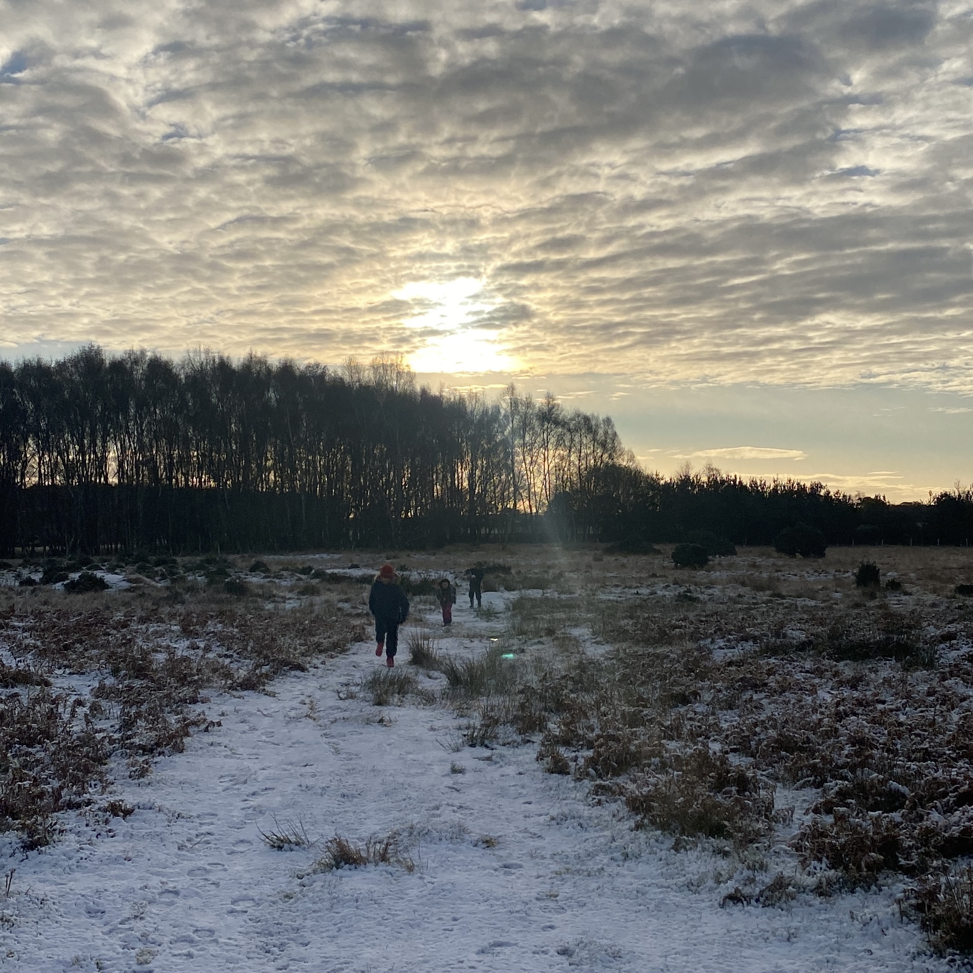 children running on snowy farmland