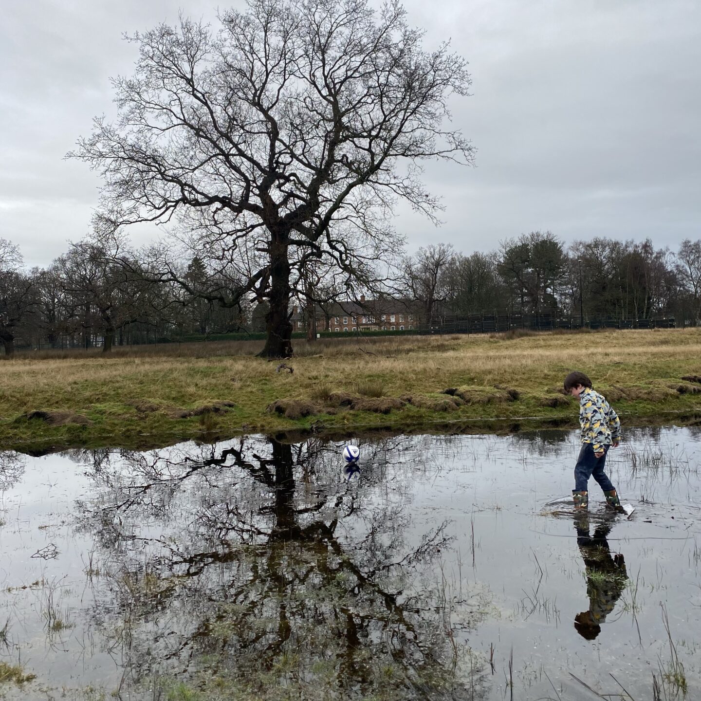 A wintry start to January with a boy trudging in icy puddles 