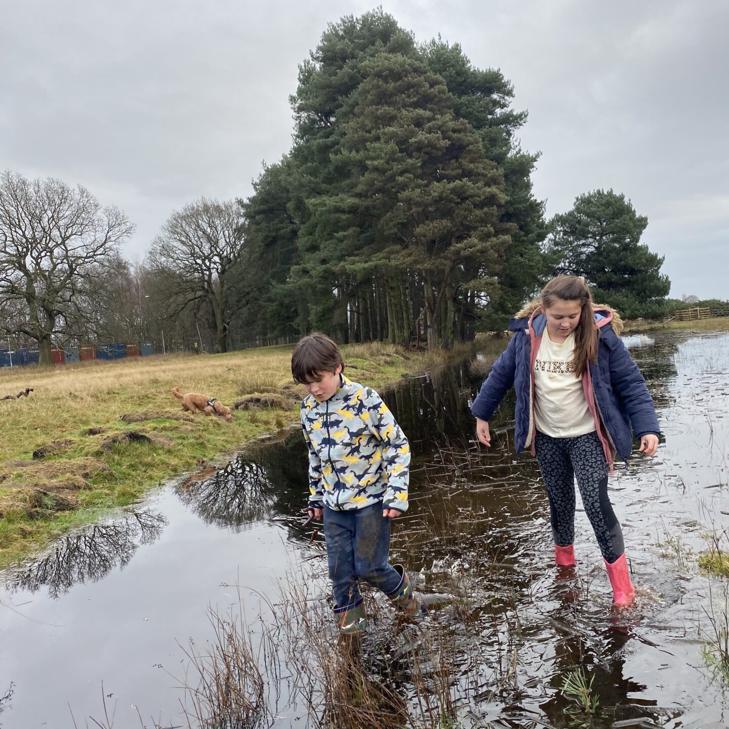 two children splashing in icy puddles after a wintry start.