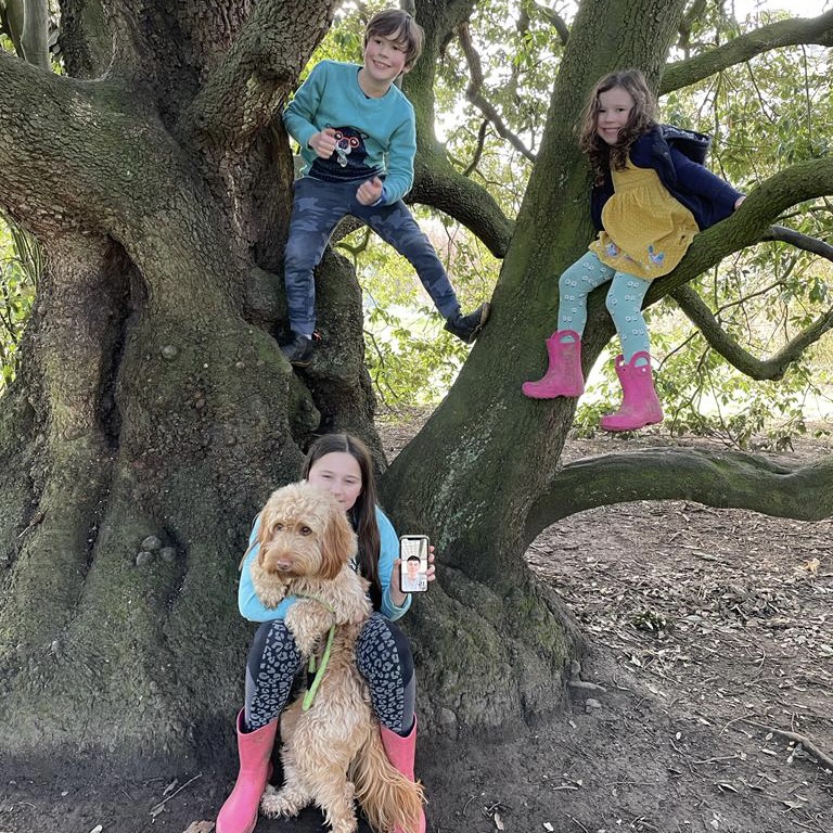3 kids in a tree smiling 