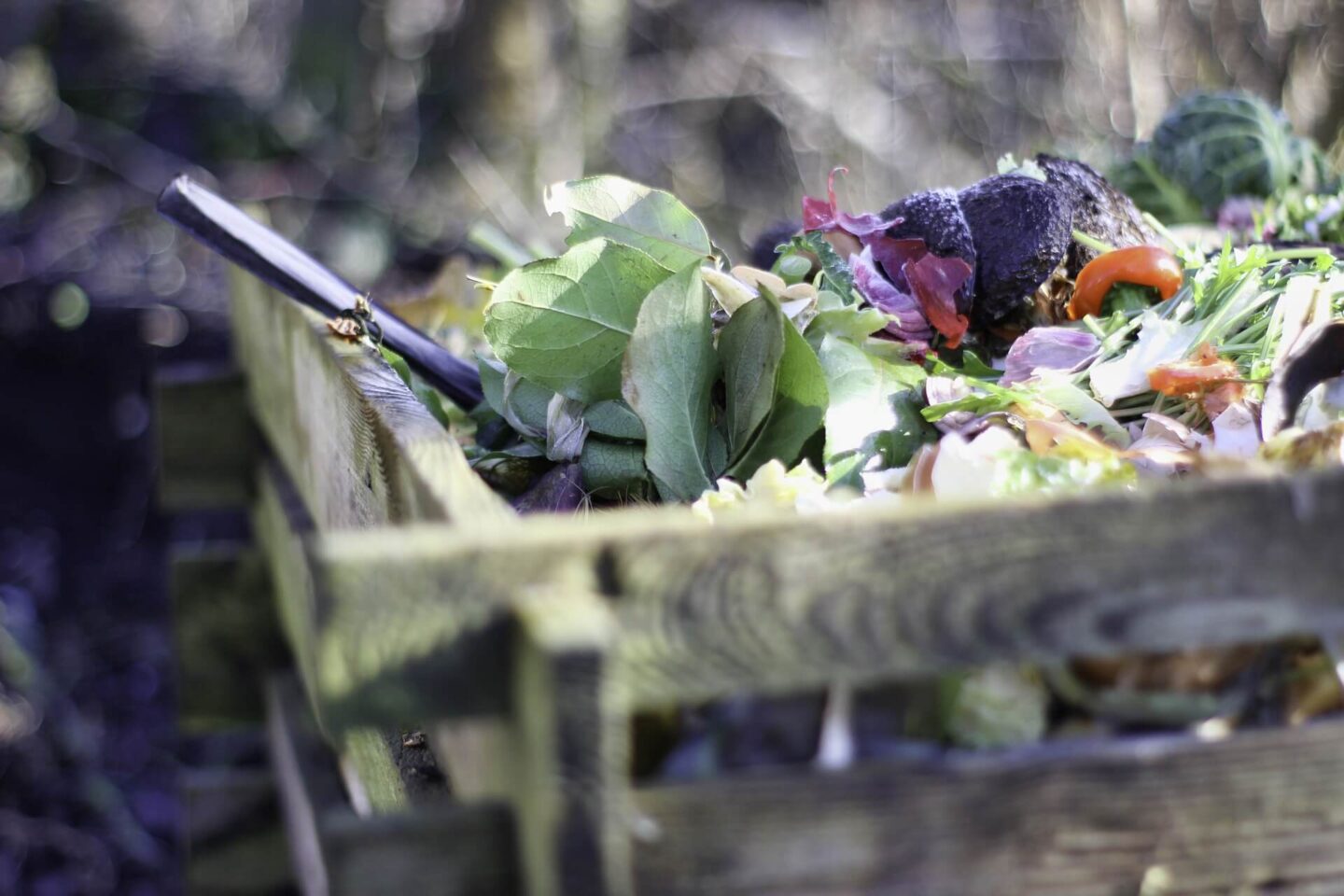 Raise an Environmentally Conscious Child