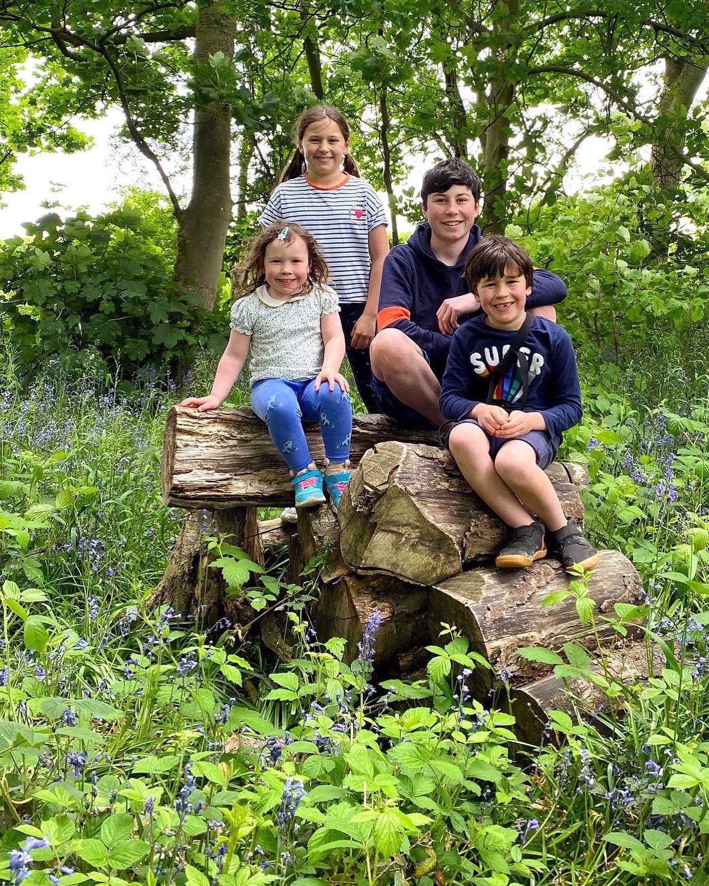 4 kids on a log in the bluebell woods