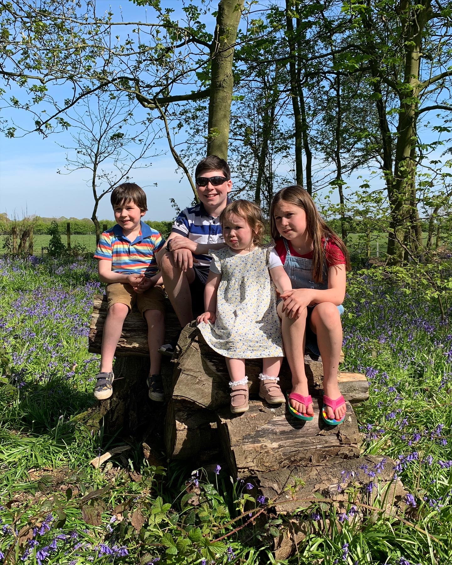 4 children on a sunny day in the woods