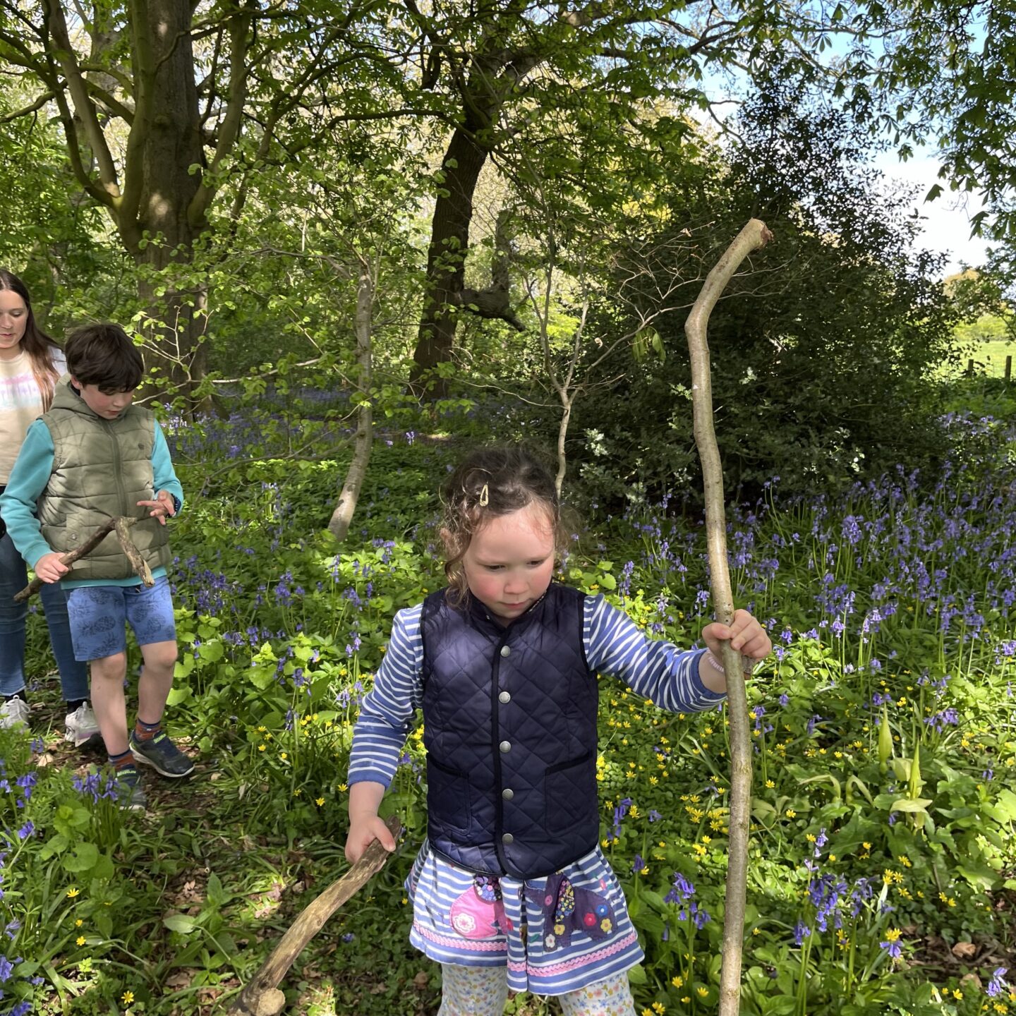 a girl with a stick in the bluebell woods in Beningborough woods