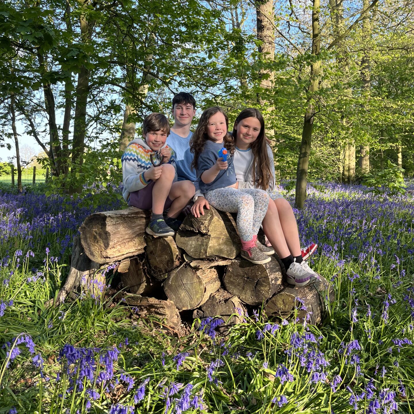 bluebells at Beningborough woods with 4 kids on a log in the woods