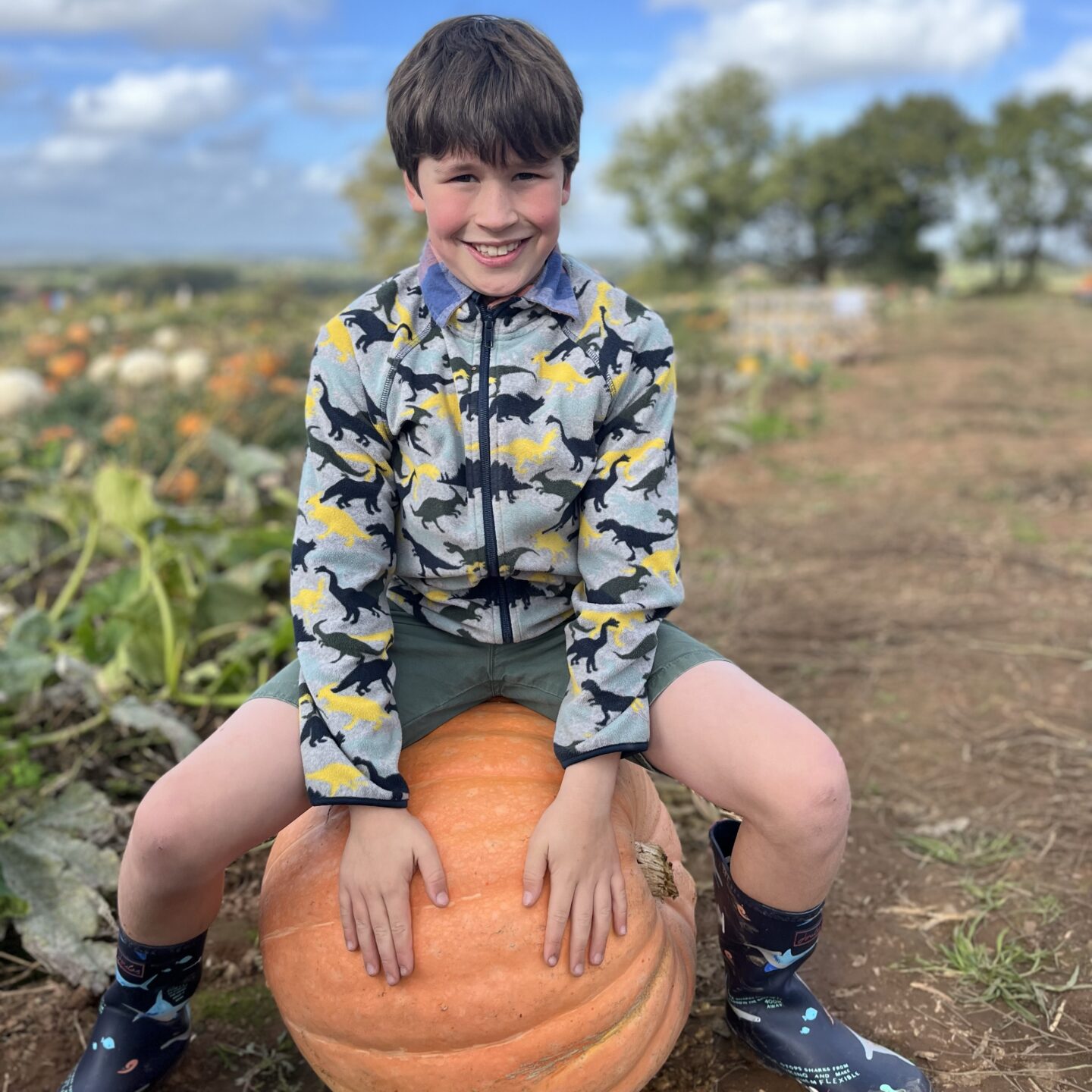 a boy sat with a giant pumpkin in a pumpkin patch