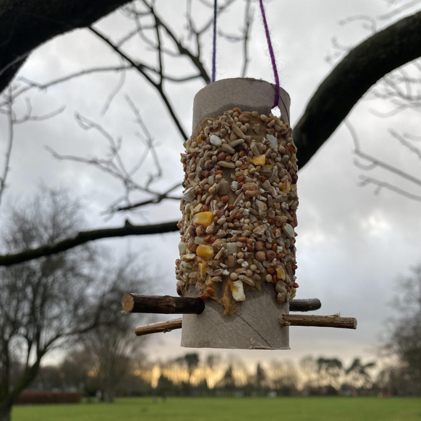 A homemade bird feeder from a cardboard toilet roll