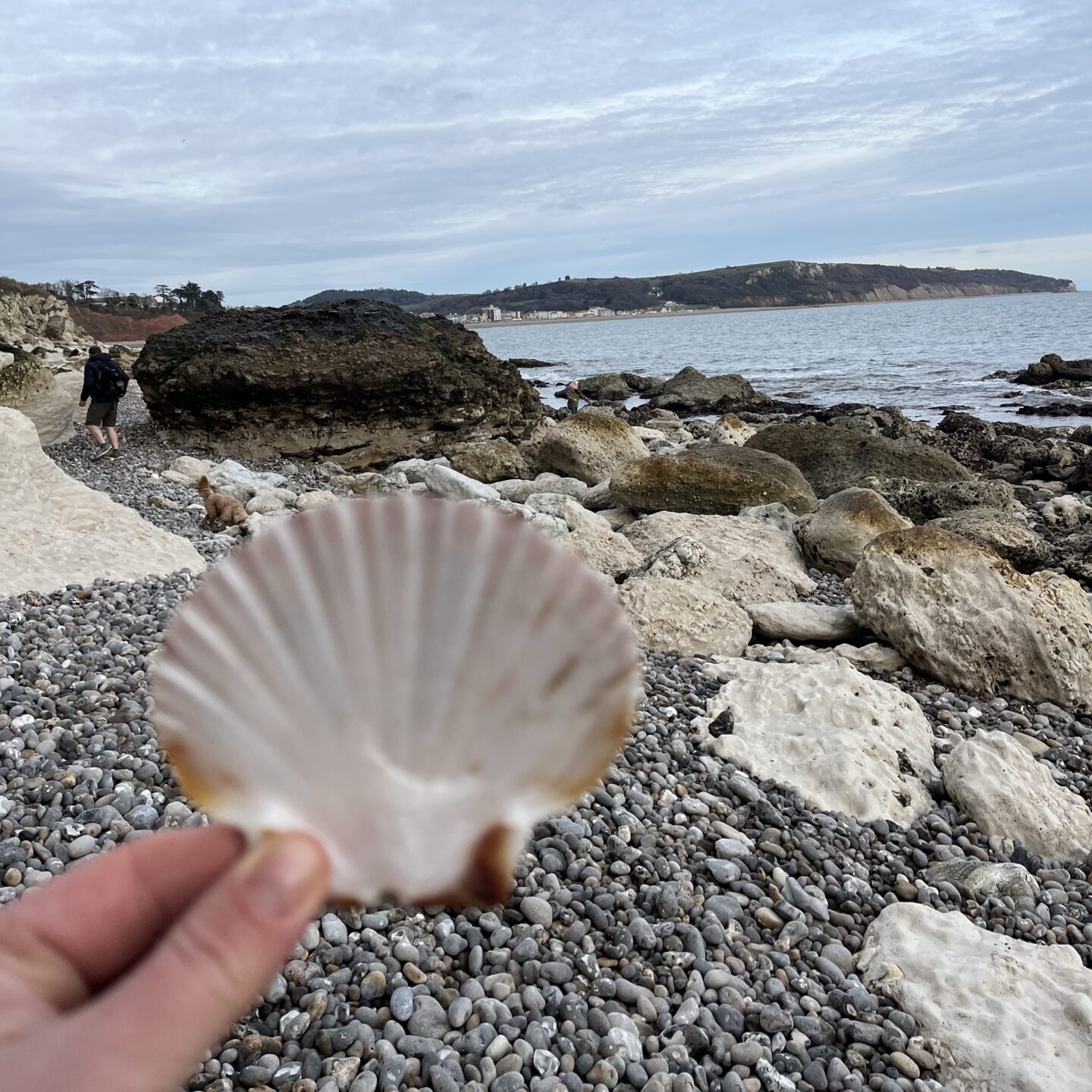 beach at Beer 