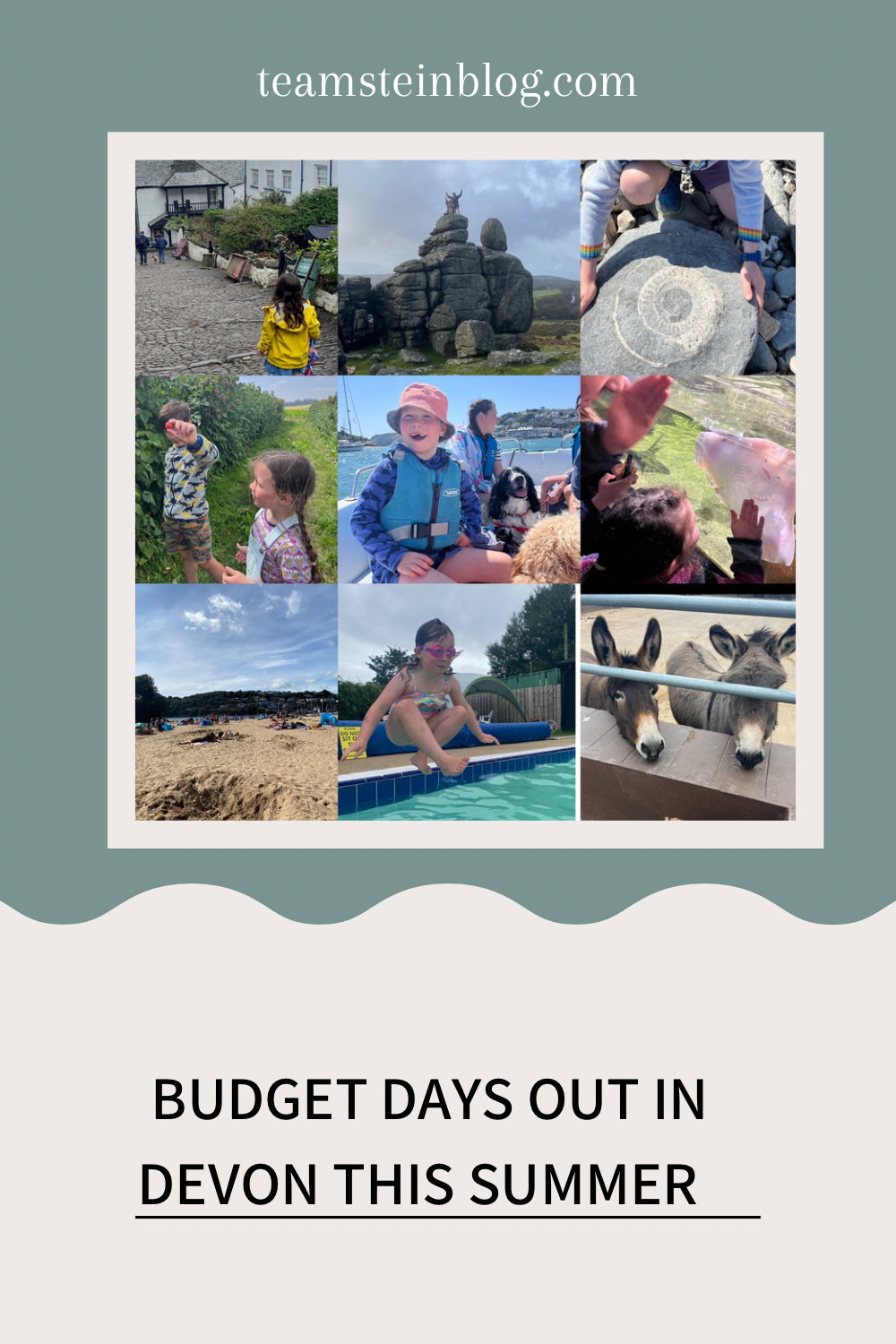 Variety of pictures from beaches to pools to donkeys in Devon 