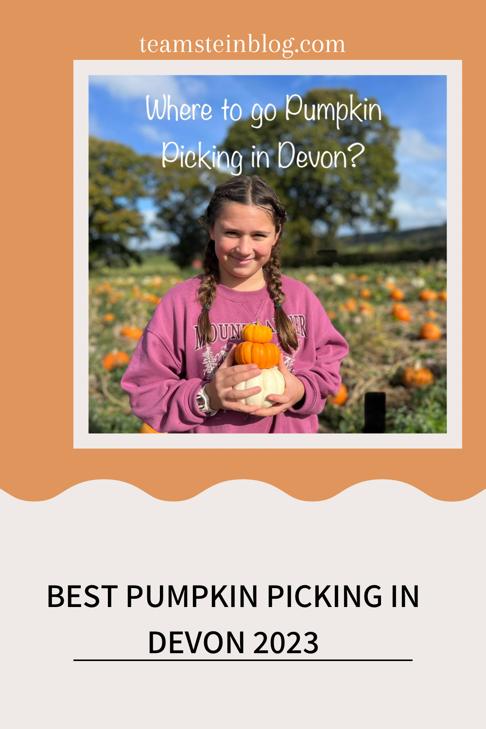 Pinterest pin of an older girl holding 3 tiny pumpkins on a pumpkin patch