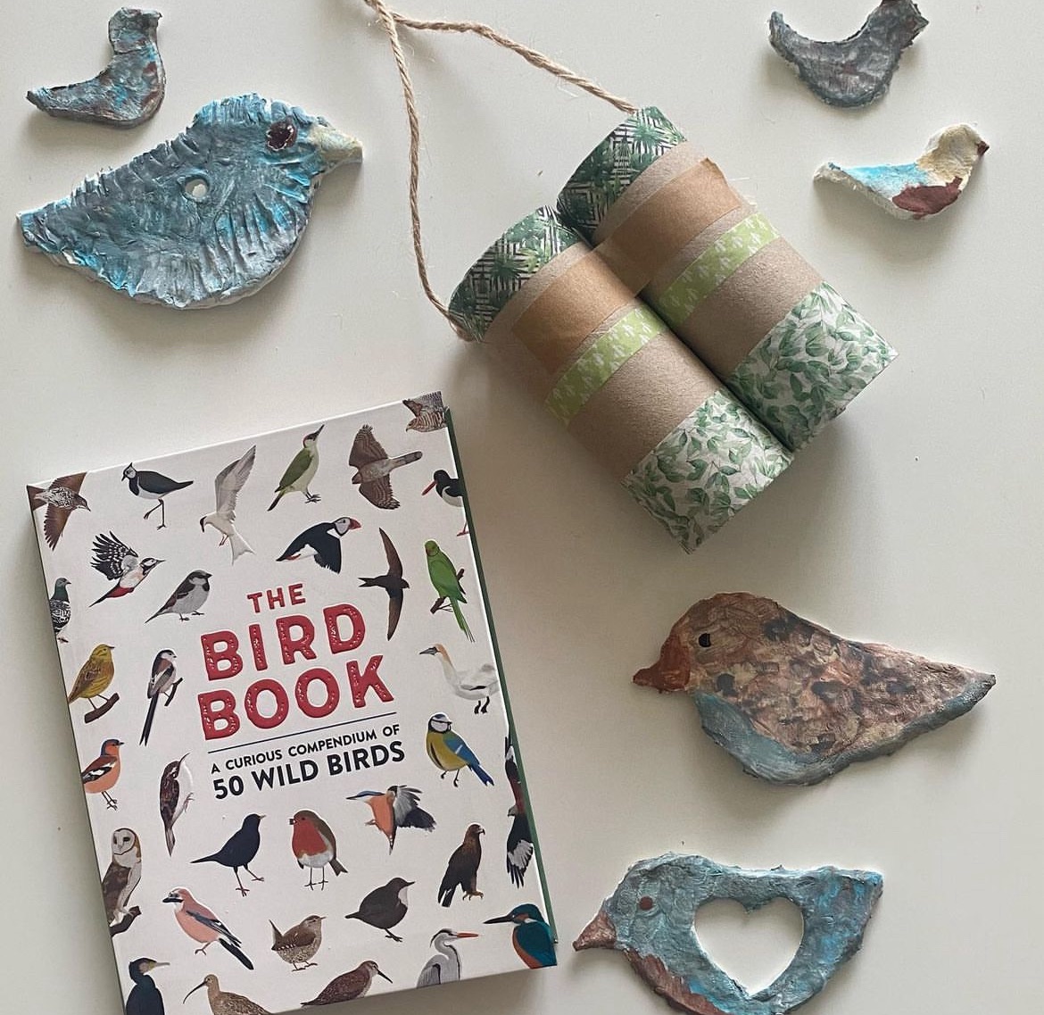 A bird book, clay painted birds and homemade binoculars