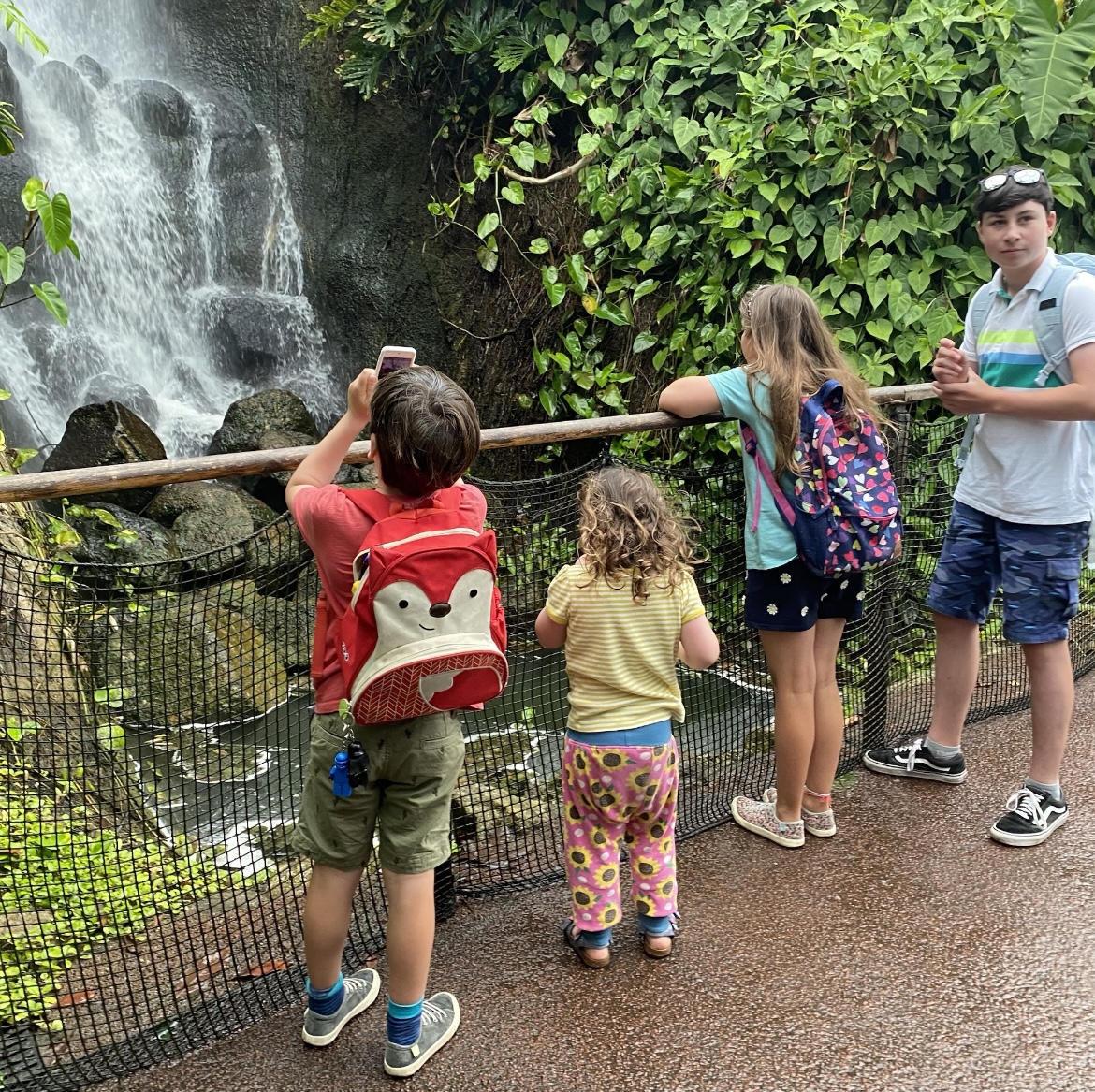 age gap parenting - 4 kids stood in front of a waterfall 