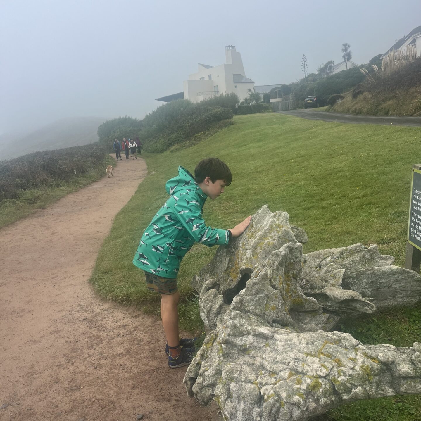 a boy touching a fossilised whale bone