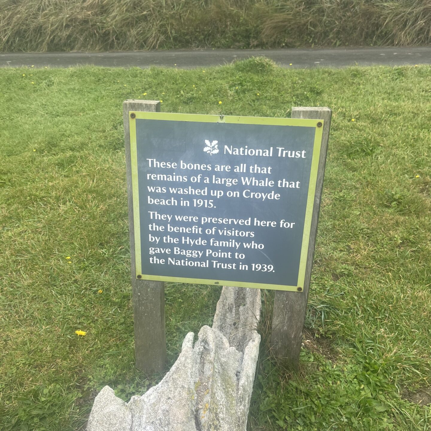 National trust sign about a a fossilised whale bone