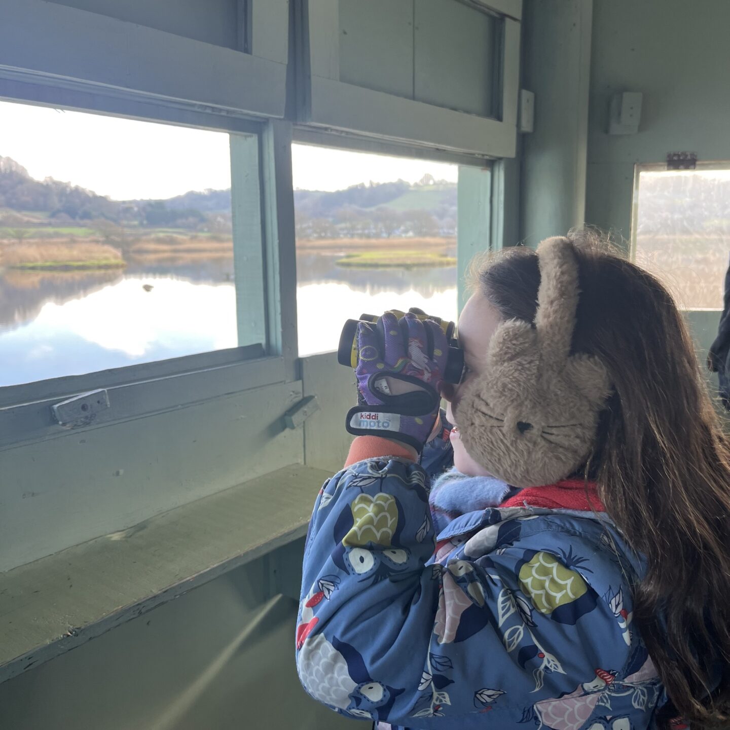 a girl bird watching in a hide at Seaton Wetlands with a pair of binoculars