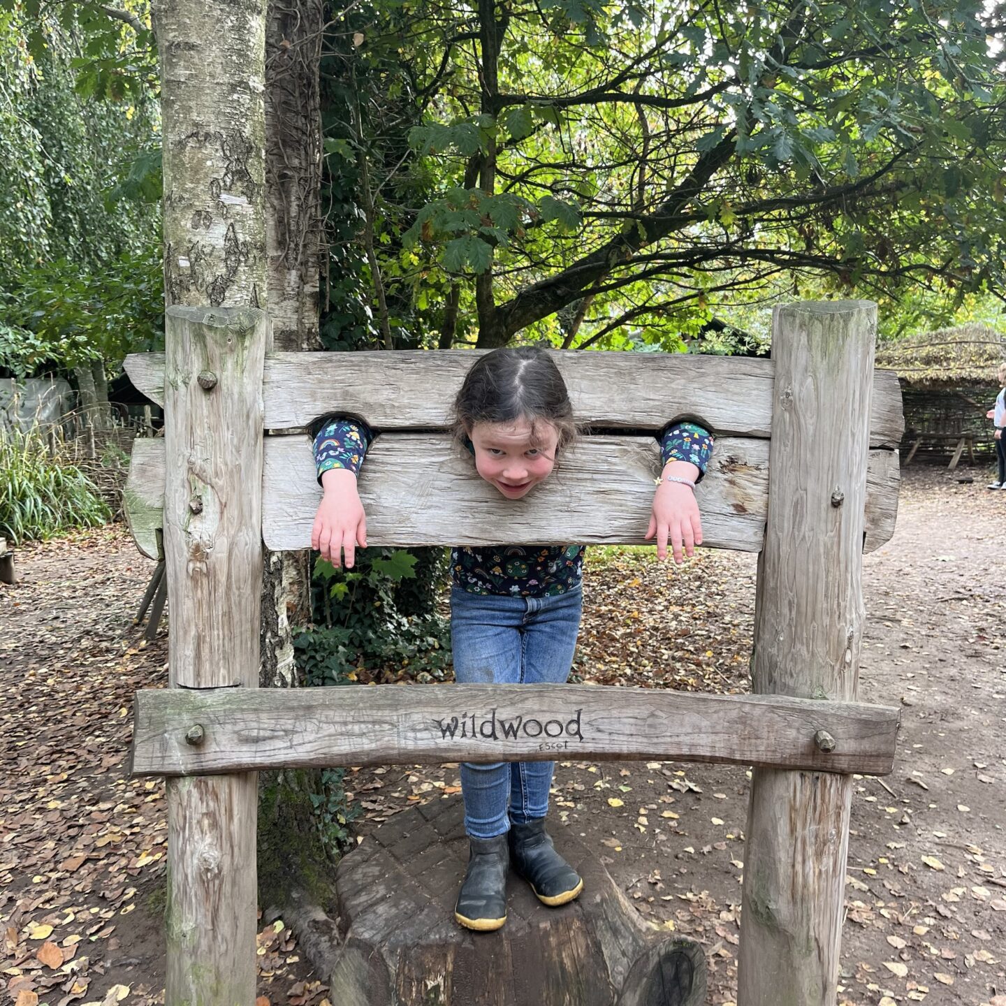 a young girl in the stocks at Wildwood in Devon 